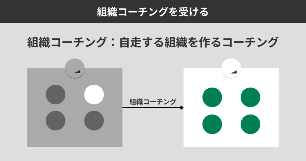 組織コーチングを受ける