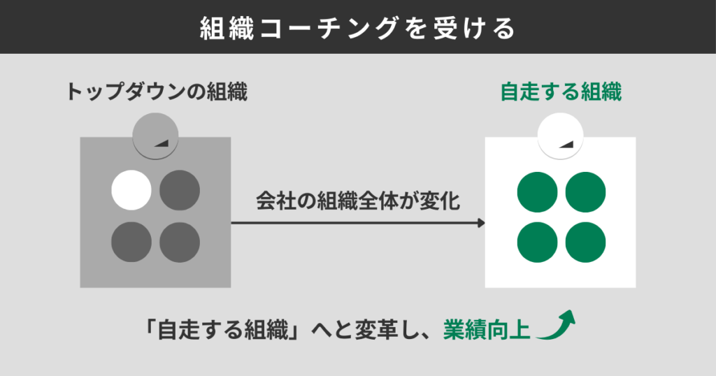 組織コーチングを受ける