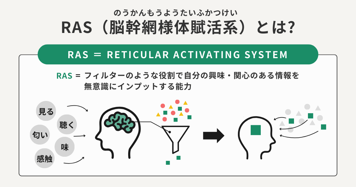RAS(脳幹網様体賦活系)とは?