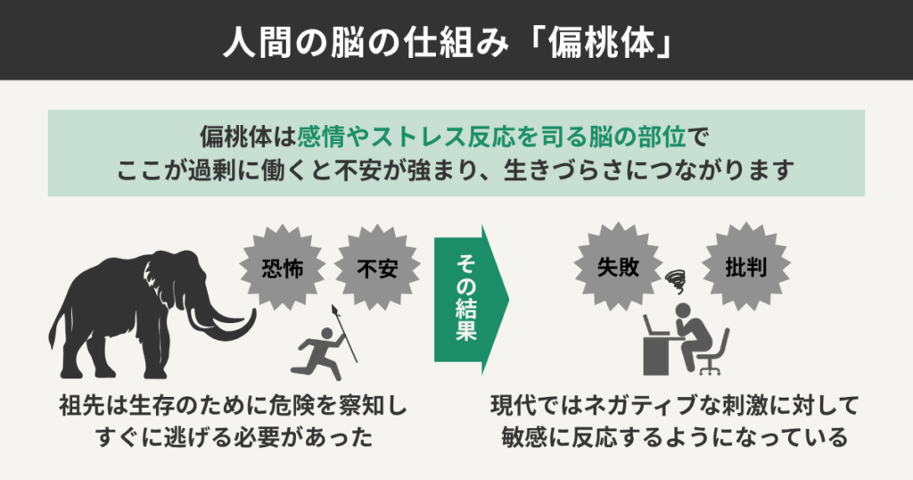 人間の脳の仕組み「偏桃体」